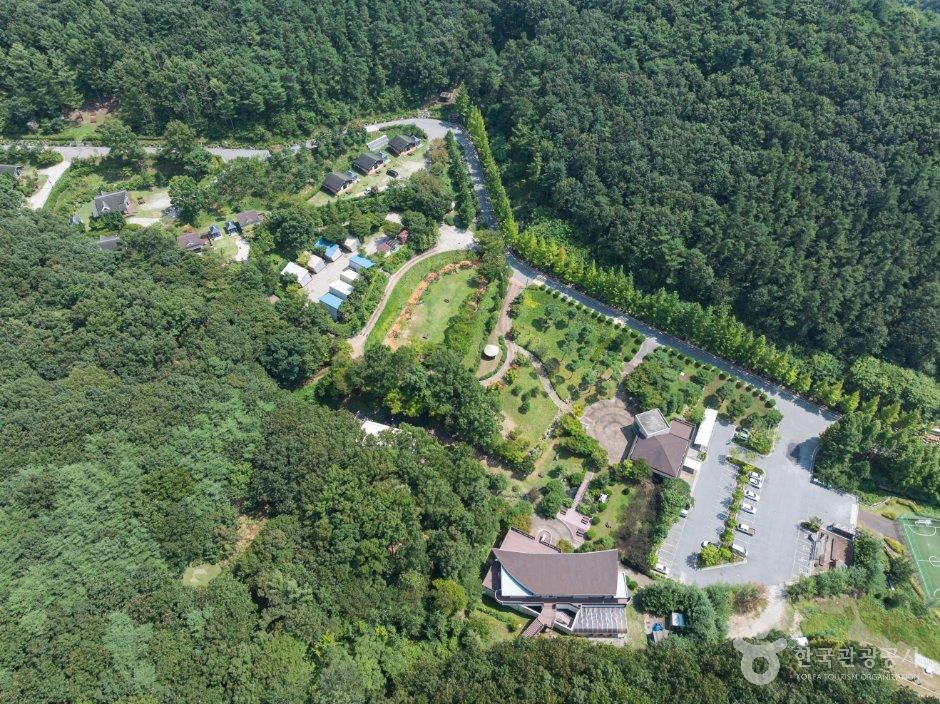충남_논산시_양촌자연휴양림 (7).jpg