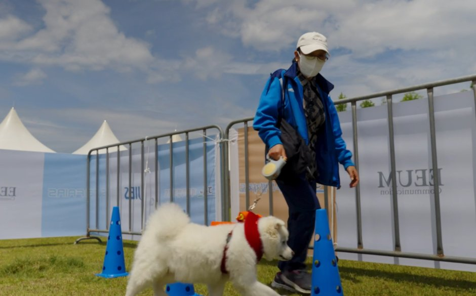 Jeju Pet Culture Industry Festival