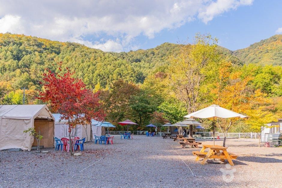 인제소재골야영장