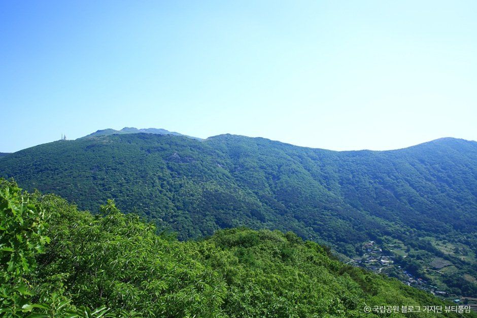 만연산
