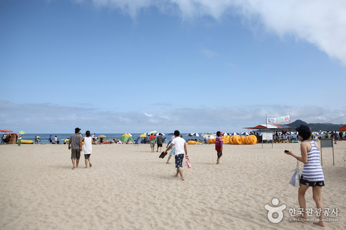 고래불해수욕장 고래불해수욕장
