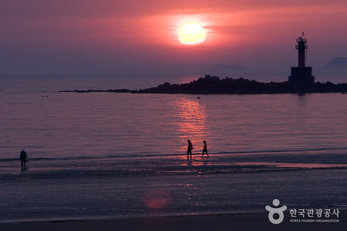 꽃지해수욕장 꽃지해수욕장
