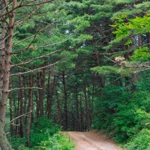 팔만대장경 이운 순례길 사진 5