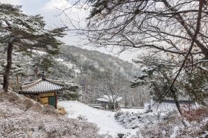 내원사(서울)