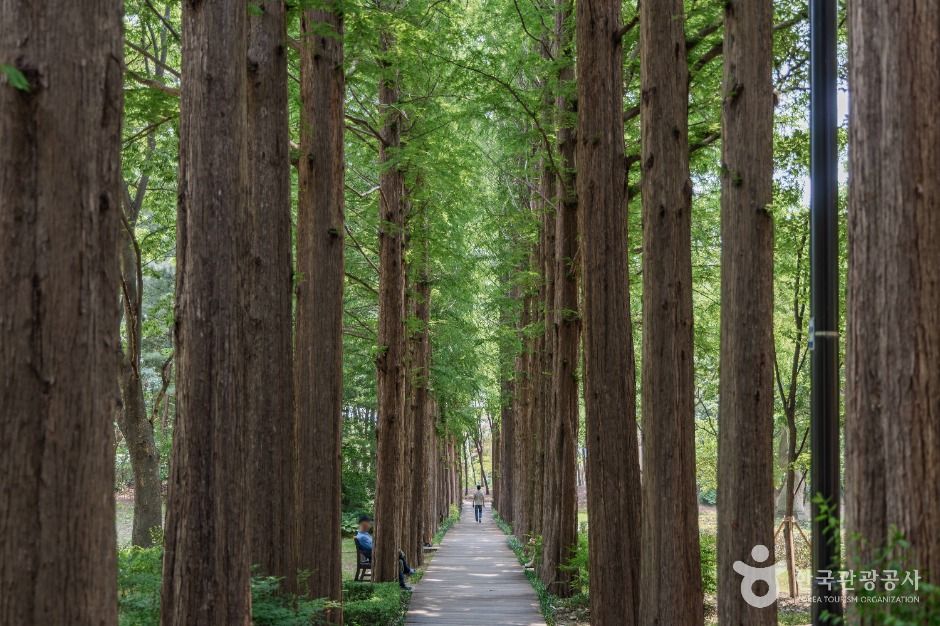 Seocho Culture and Arts Park