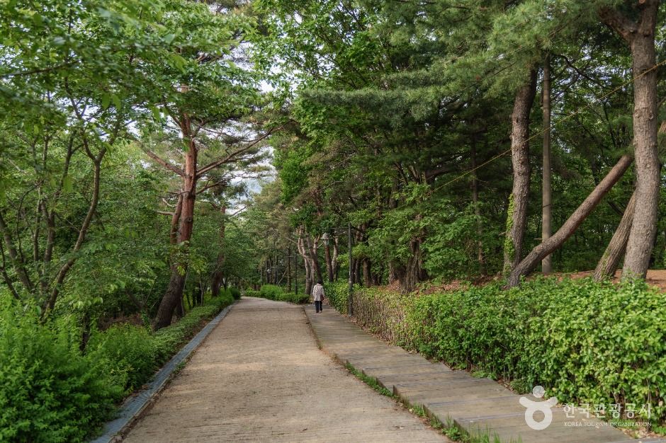 瑞草公園