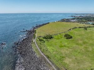 [제주올레 3코스] 온평-표선 올레 (A)