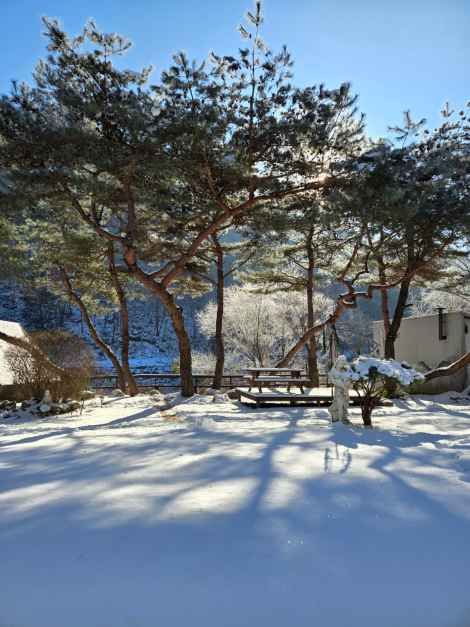 평창_비움펜션_외부전경 (2).jpg