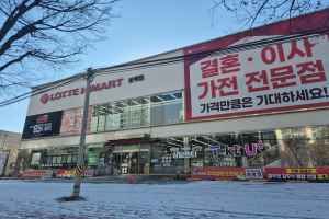 롯데하이마트 분평점