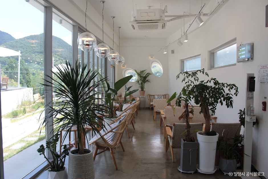 밀양_바래미바네사 (2).jpg