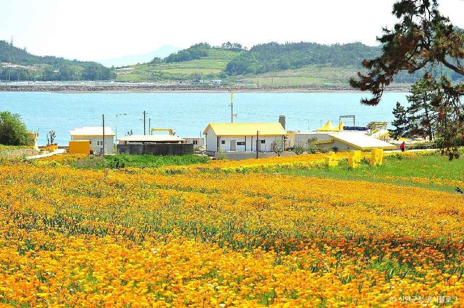 Seondo Island