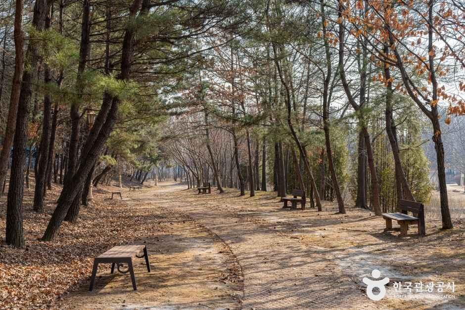 인천환경공단 청라생태공원