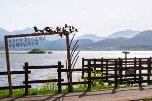 주남저수지 철새도래지