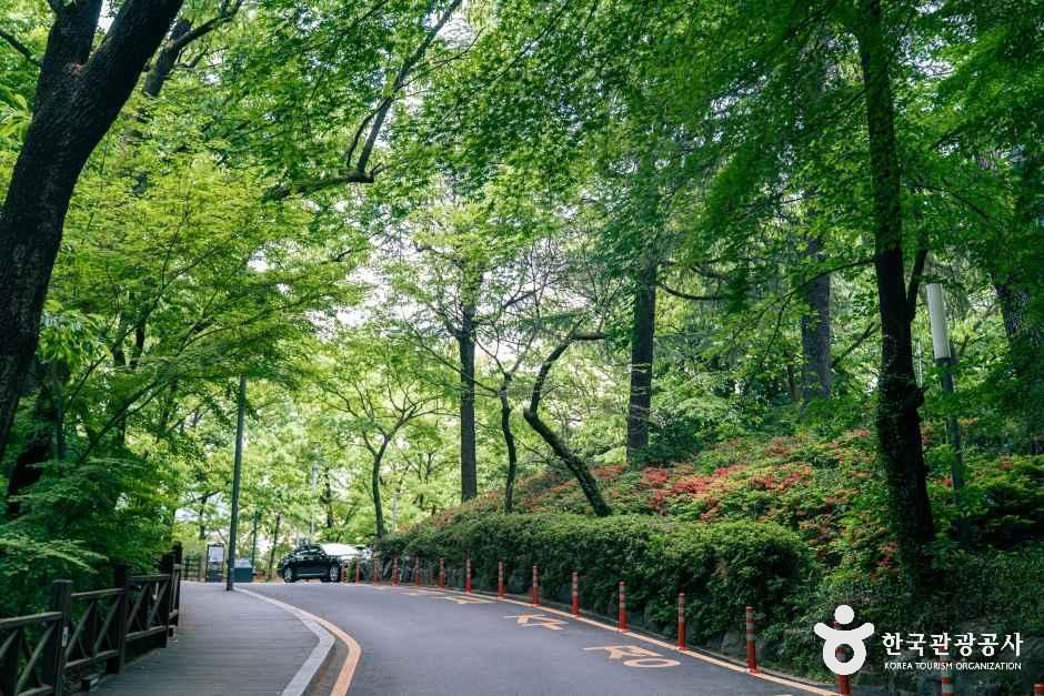 광주_사직공원_외부_3.jpg