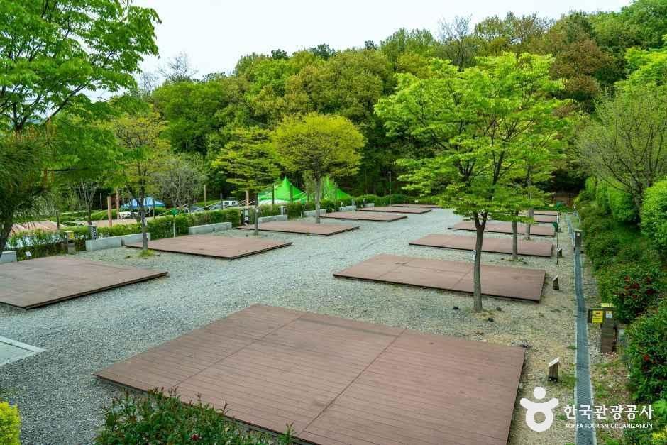Chomakgol Ecological Park Zelkova Campground