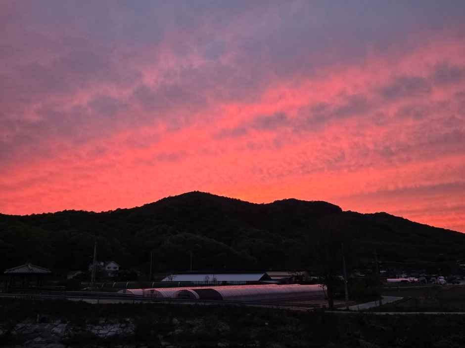 명봉산 솔밭관광농원 오토캠핑장