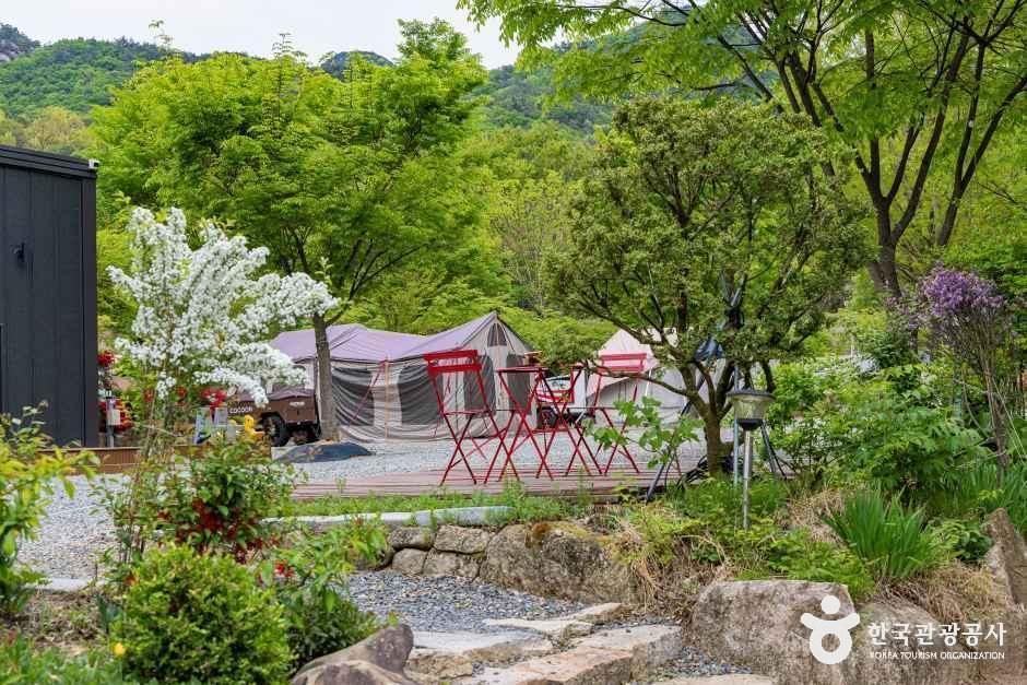 괴산 도명산 오토캠핑장