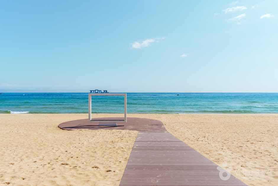 [해파랑길] 41코스