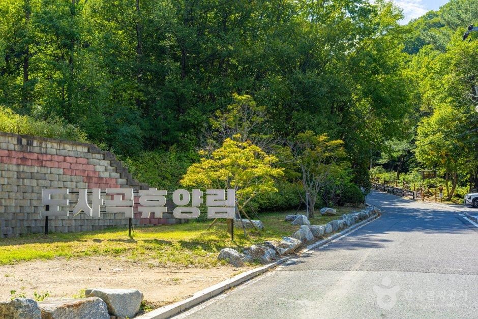 도사곡자연휴양림야영장