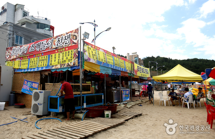 어달해변 어달해변