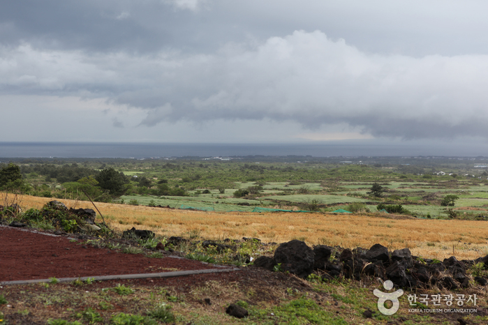 다랑쉬오름(월랑봉)