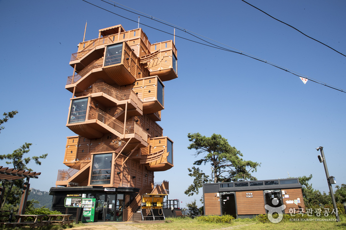 Autumn Sea Getaway in Mokpo: 1 Night 2 Days Course