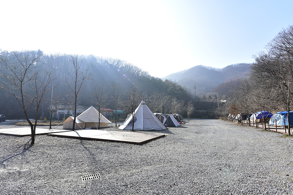 シングルボンググルキャンプ場