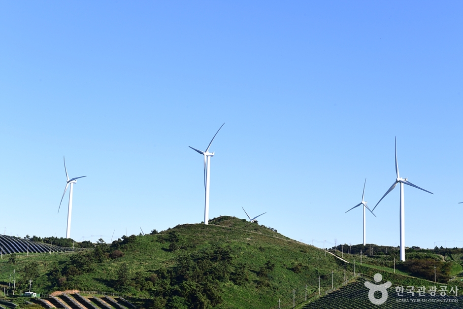 活城山风力发电基地