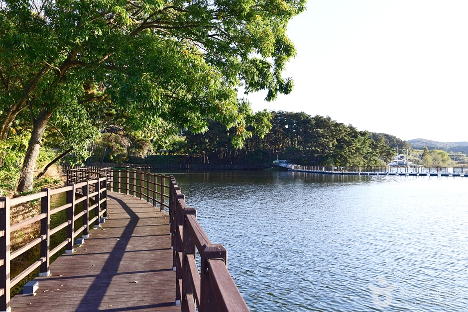 老東貯水池