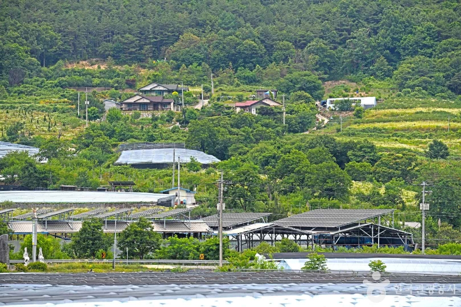 永同 錦江 モチ村