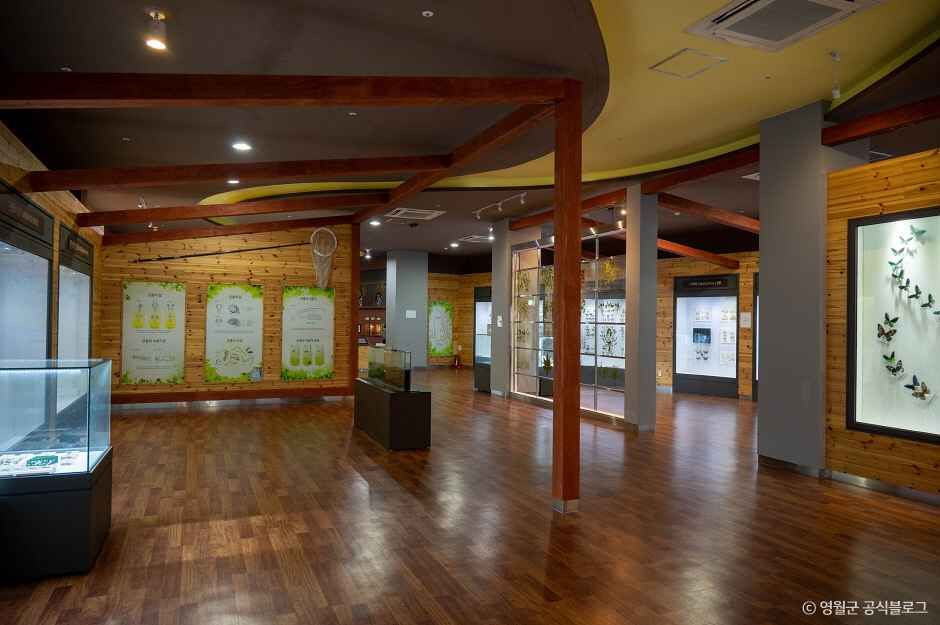 영월곤충박물관