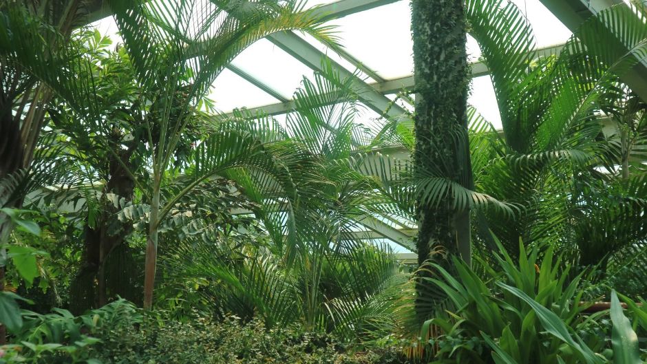 首尔森林 昆虫植物园