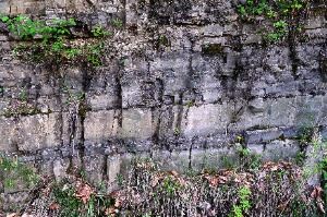 청송자연휴양림 퇴적암층 (청송국가지질공원)