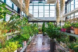 싱그랭이 에코정원