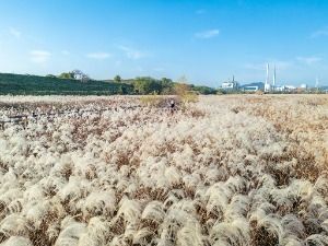 대구_대명유수지 (3) 미리보기