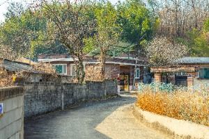 3589117 image3 1 예스키즈존 탐험대 : 실패 없는 육아여행