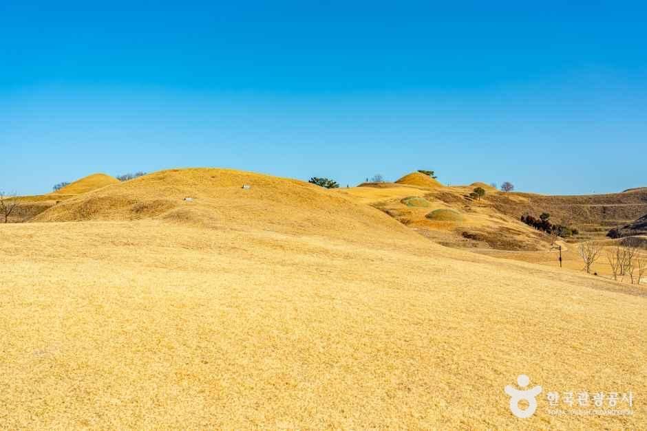 함안_아라가야 고분군 (2).jpg
