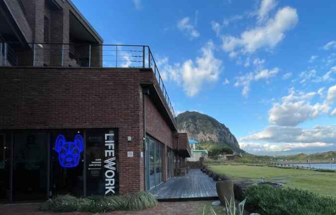 라이프워크 메가스토어 제주점