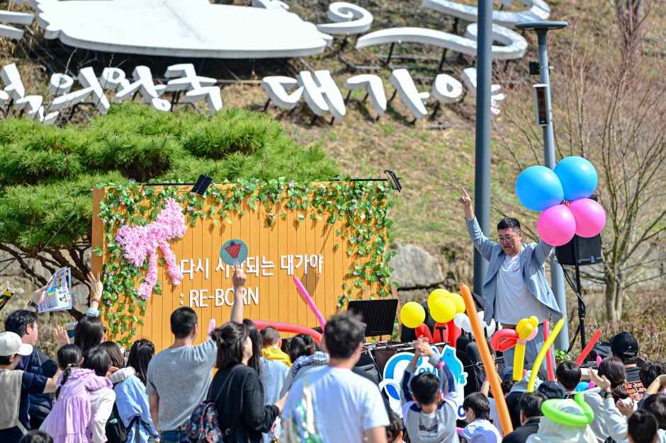 Goryeong Daegaya Festival