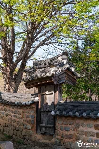 영덕 무안박씨 무의공파 종택