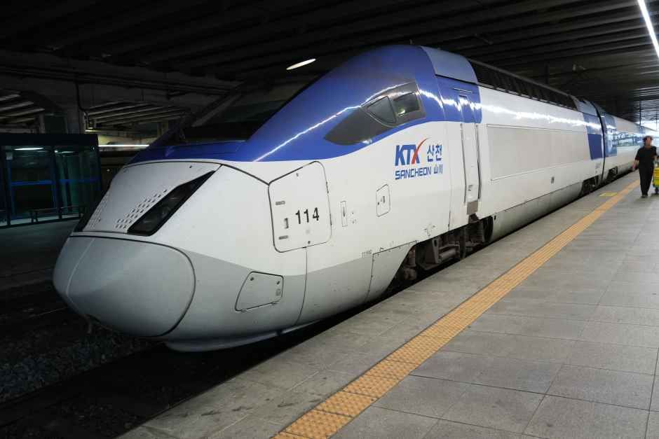 様々な列車が乗り入れる東大邱駅