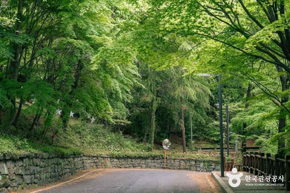 광주_사직공원_외부_4.jpg
