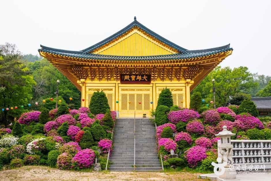 수국사(서울)