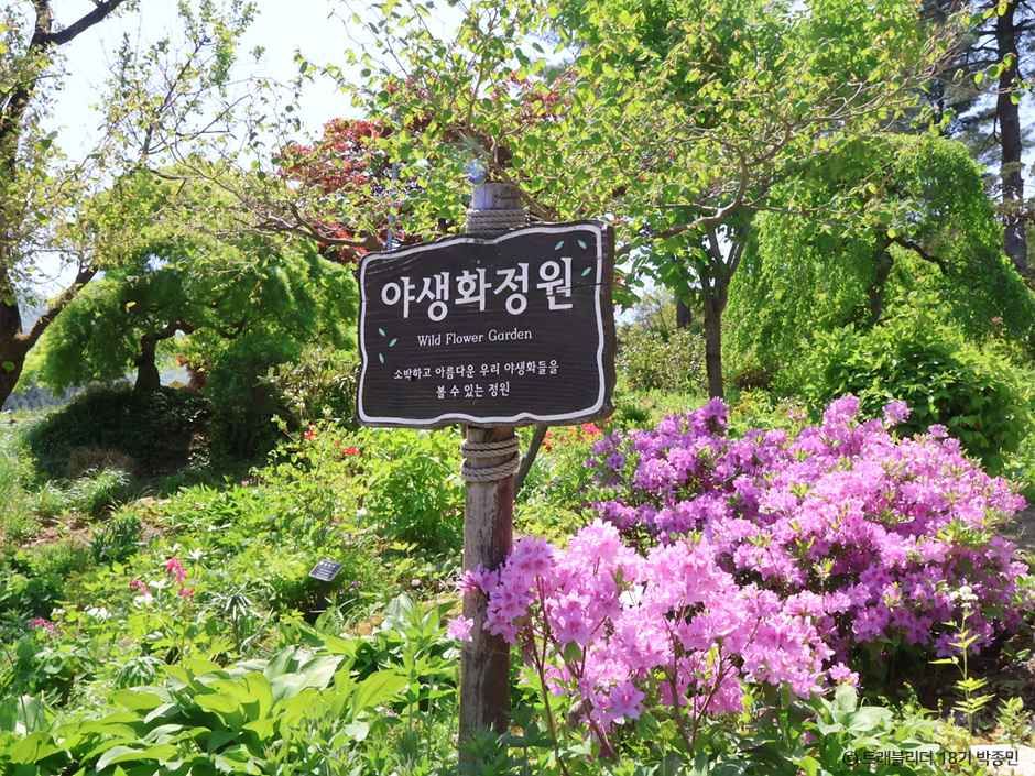 아침고요수목원