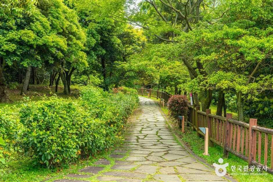 서귀포칠십리시공원