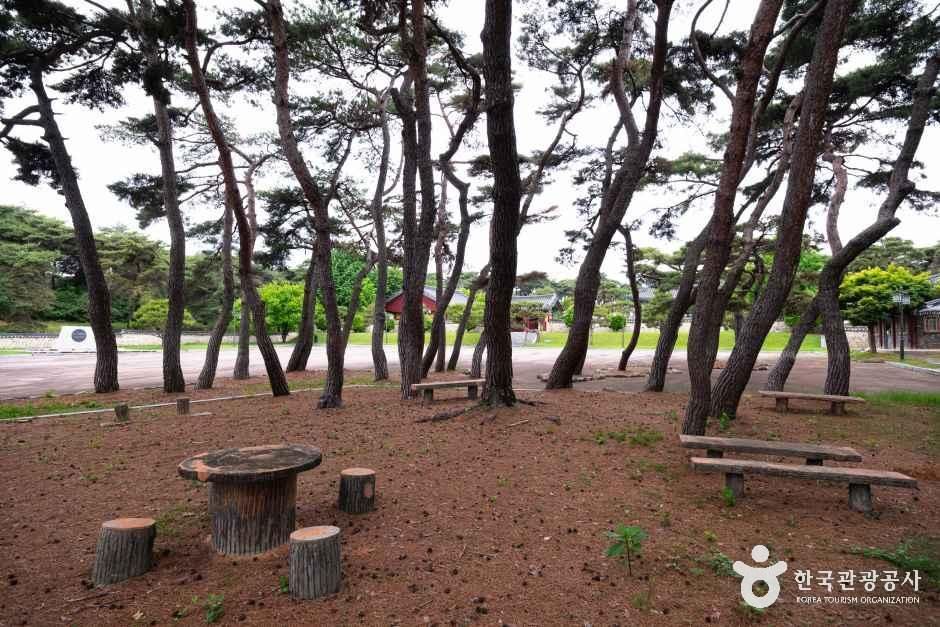 정읍 황토현 전적