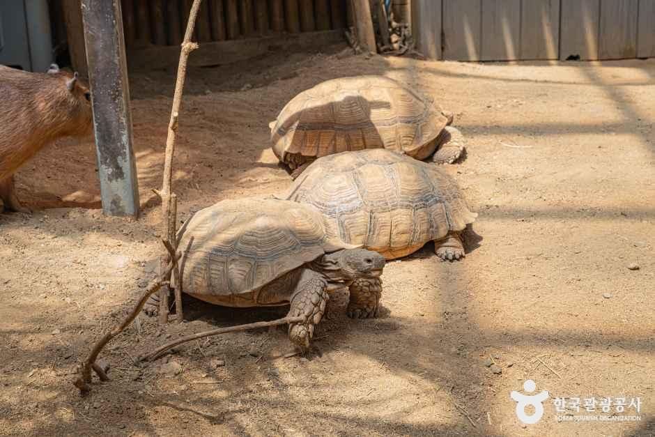 네이처파크
