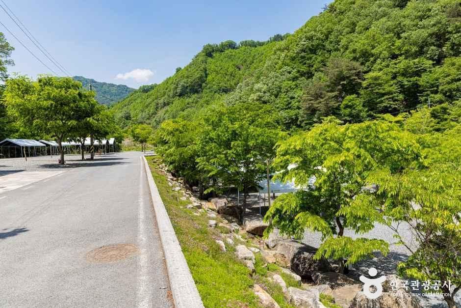 옥전캠핑장