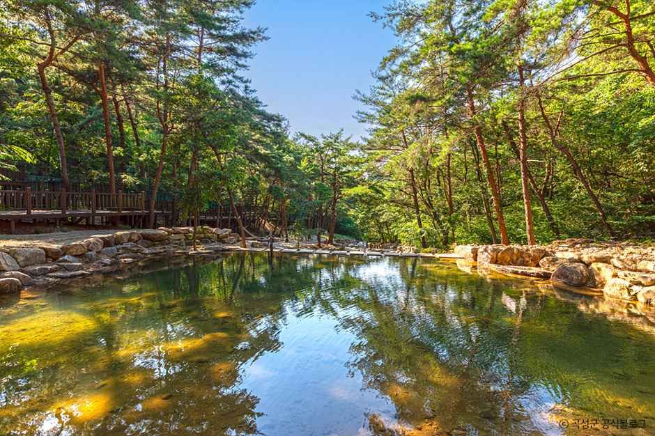 곡성_청계동솔바람야영장 (1).jpg