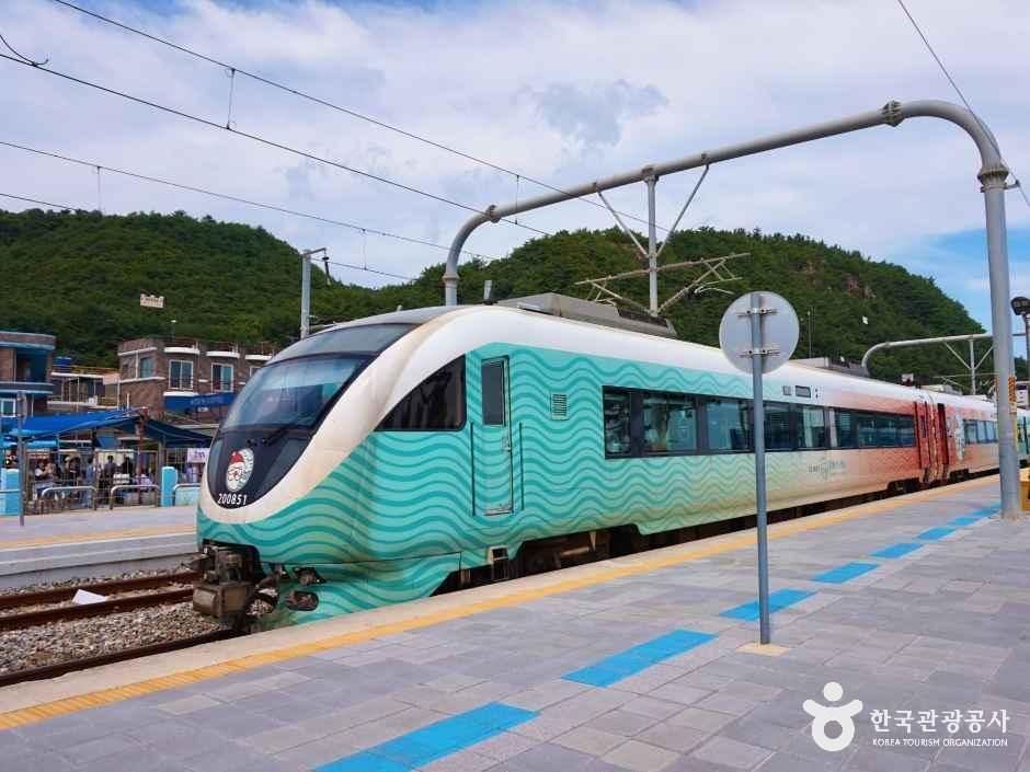 정동진역